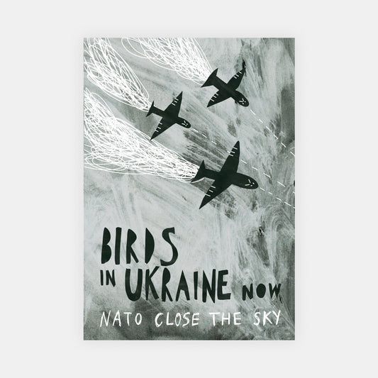 Birds In Ukraine Now